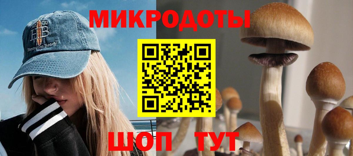 Галлюциногенные грибы Psilocybe Урюпинск
